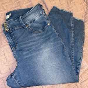 Torrid Jeggings 18XS